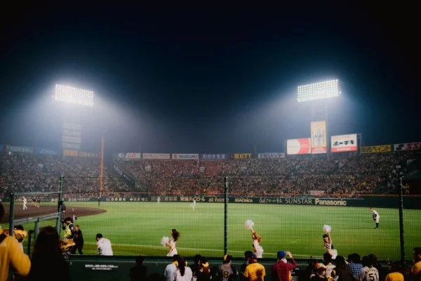 baseball stadium night lights